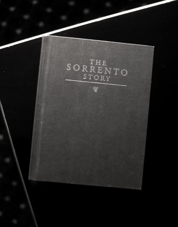 Hotel Sorrento Photo 23