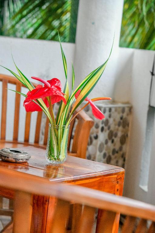 Turtle cove residence, Tangalle