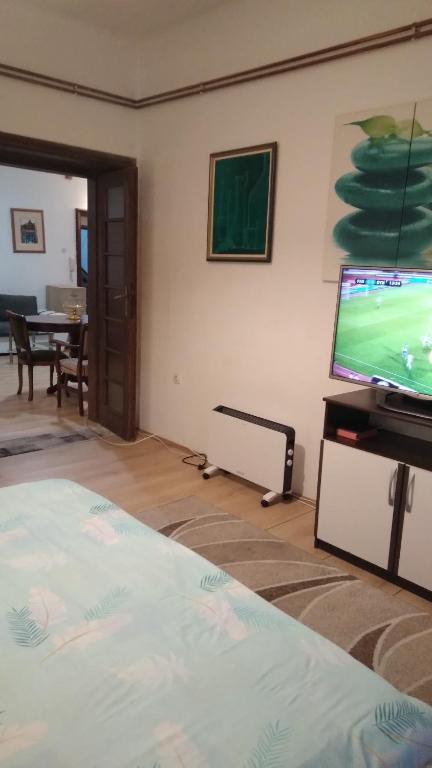 Apartman Centar Sava - 2