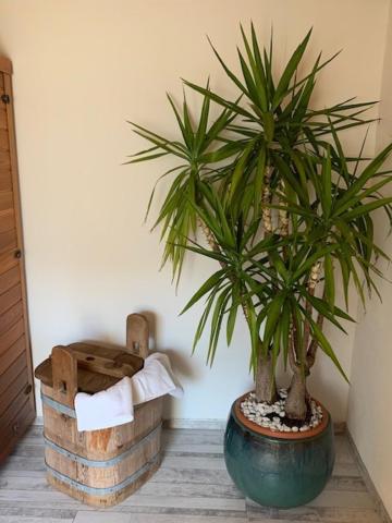Villa Wastl - 2