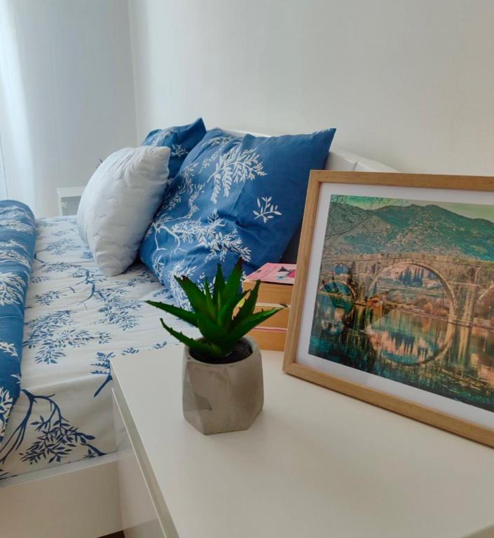 apartman Sara - 3