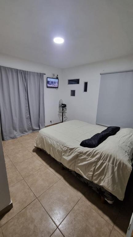 Lucila suites bosque - 4