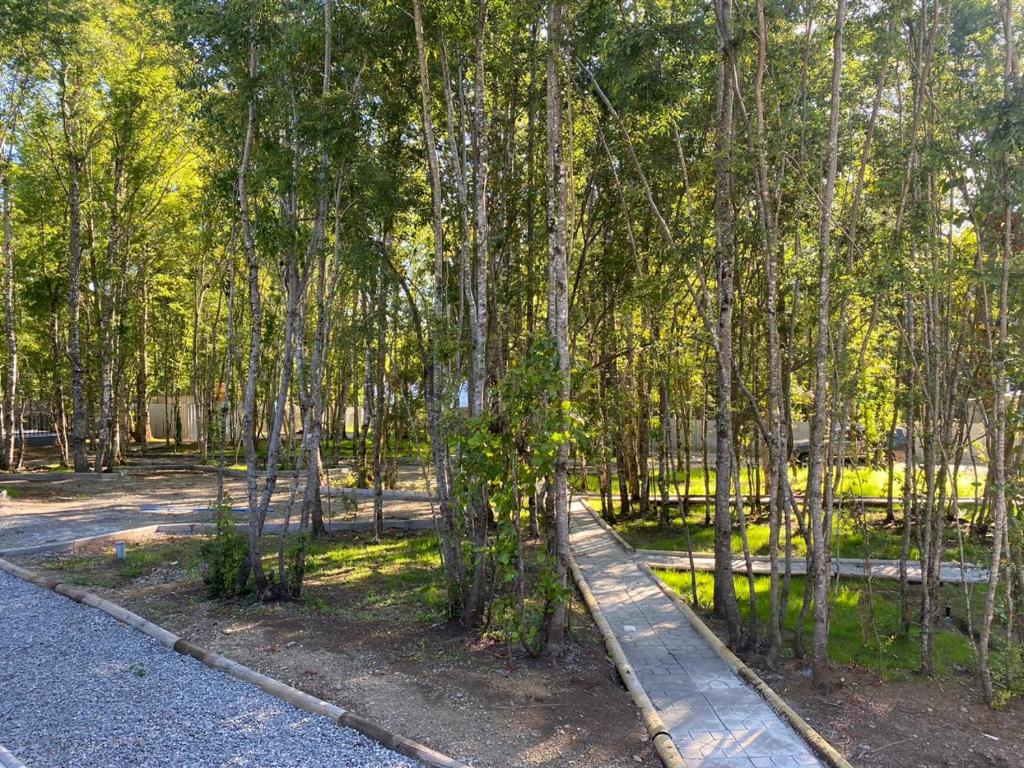 Boker Tov Pucón - 4