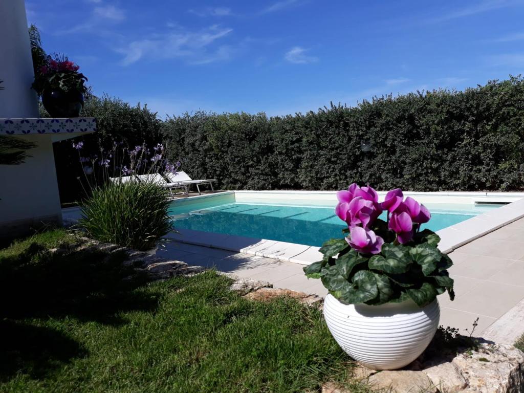 Villa Bianca - 3