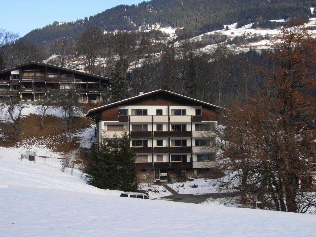 Montafon Apartment - 2