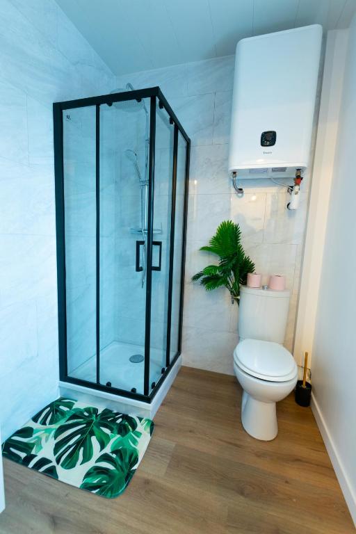 A 100 M DE LA VIELLE VILLE, PROCHE REMPARTS, cosy holiday - 3