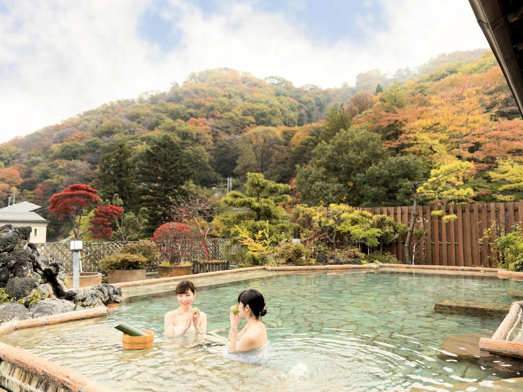 Hot spring bath