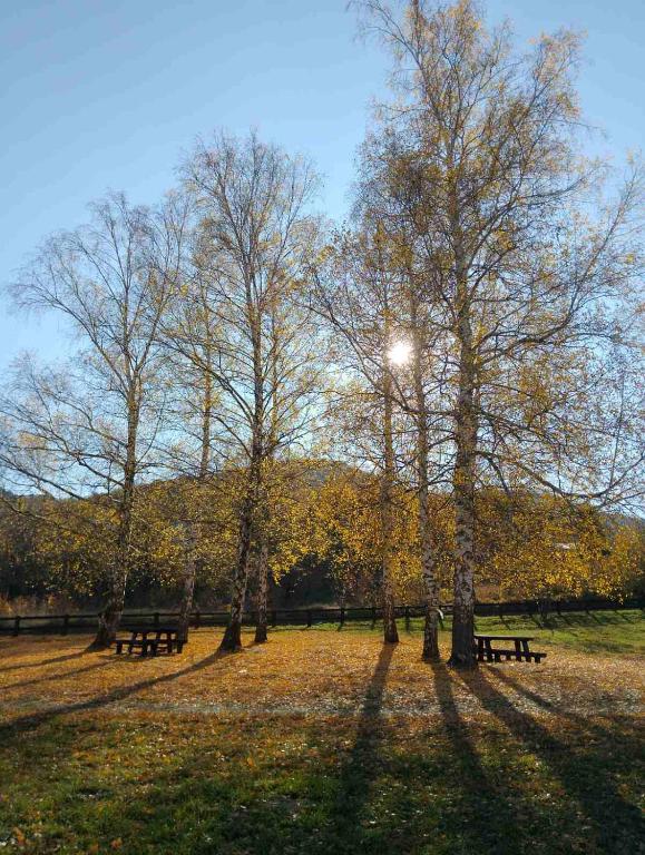 Studio Martin 1 Sokobanja - Park Čuka 2 - 2