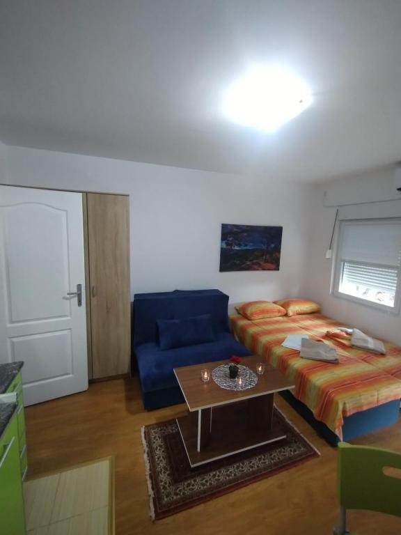 Studio Martin 1 Sokobanja - Park Čuka 2 - 4