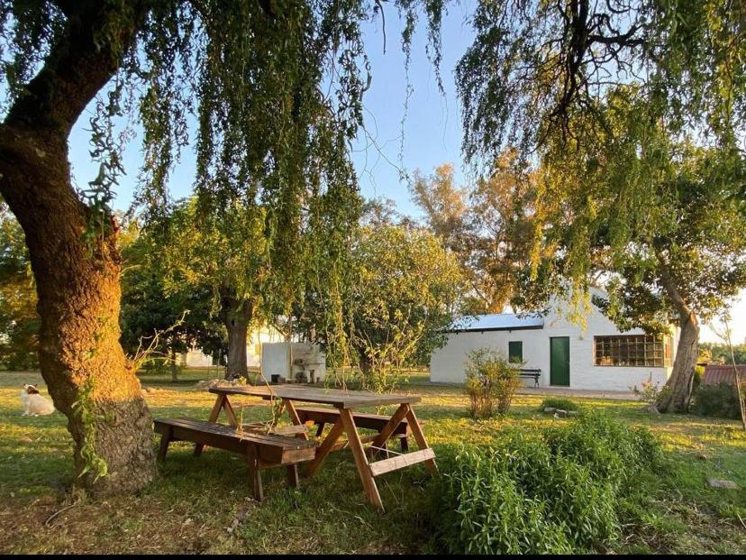 Finca Santo Pietro - 2
