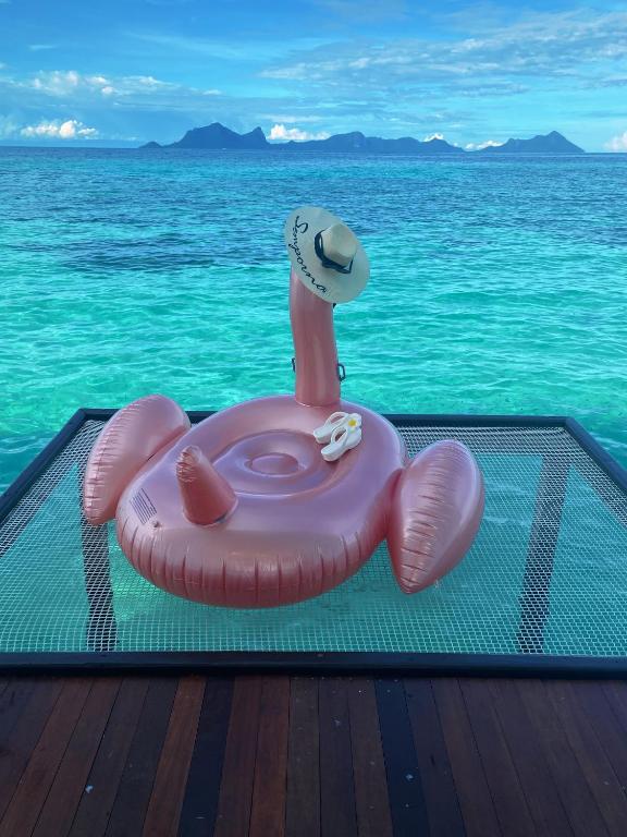 Surrounding environment