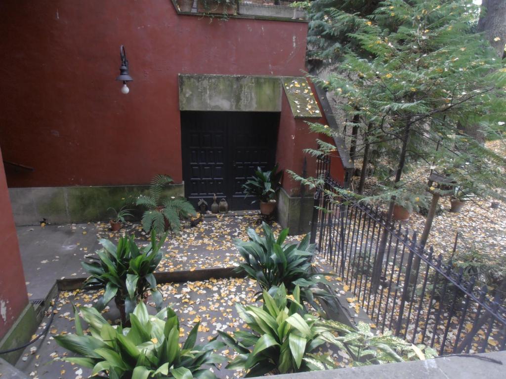 Albergue Plaza Catedral photo