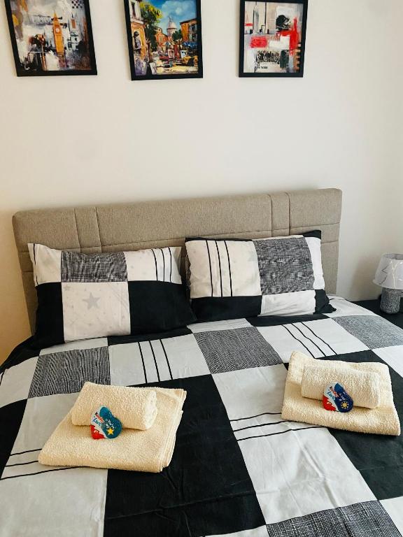 Festina Apartman - 3