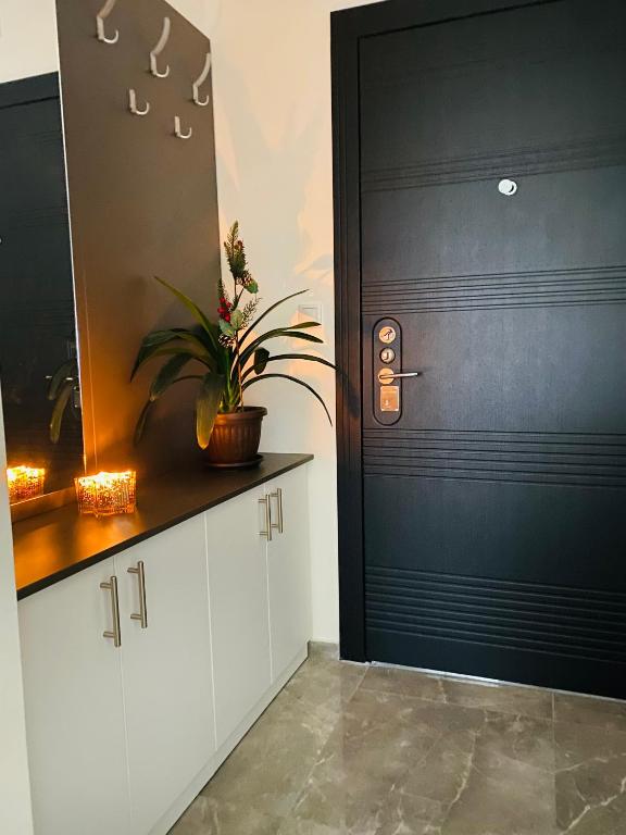 Festina Apartman - 4