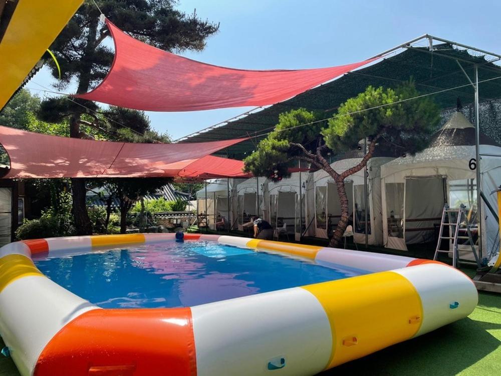 살림채 펜션 후기 사진