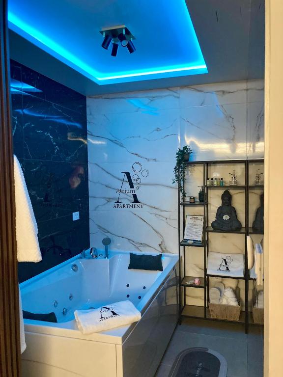 Apartman Atrium Banja Luka - 1