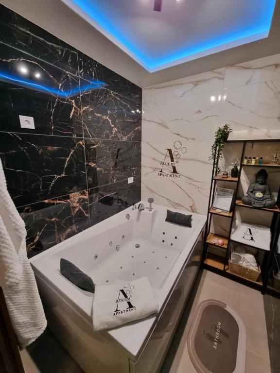 Apartman Atrium Banja Luka - 4