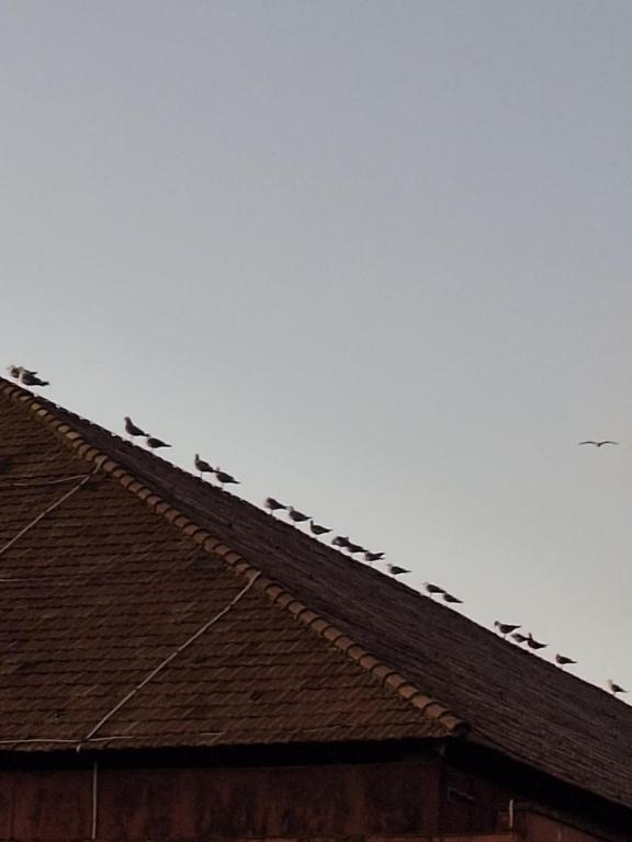 Unterkunft von außen