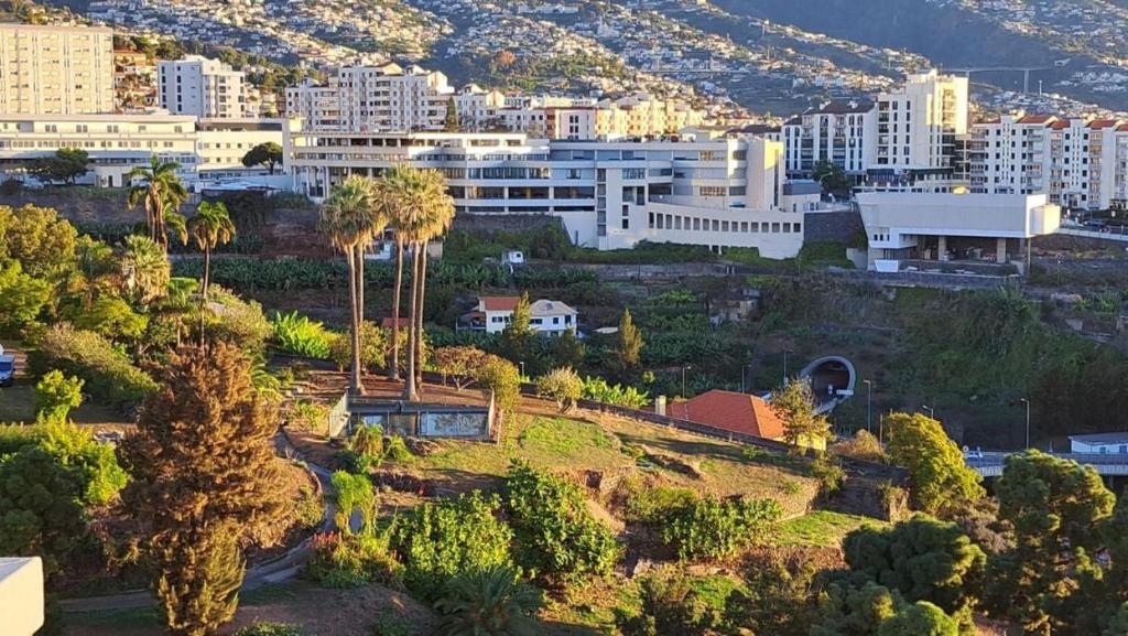 Magnolia Apartment Luxury Apt Great views, Funchal