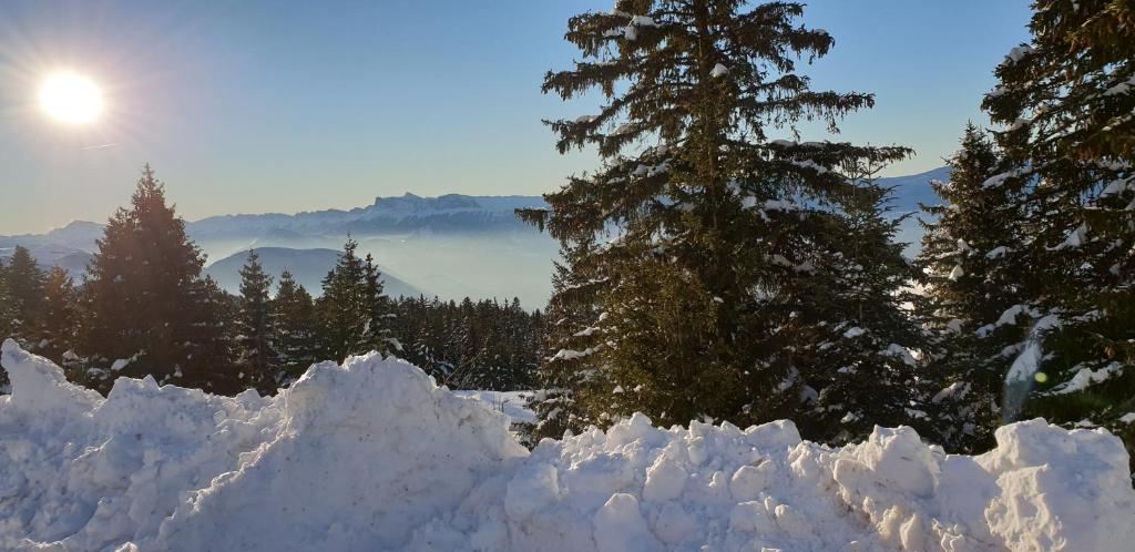 Appartement 8 personnes 3 chambres 1 750 m altitude - 3