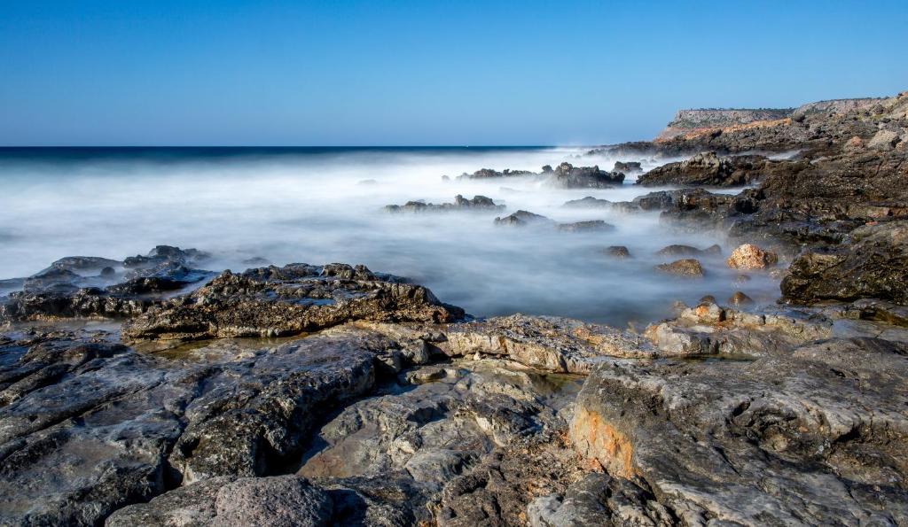 周辺観光スポット