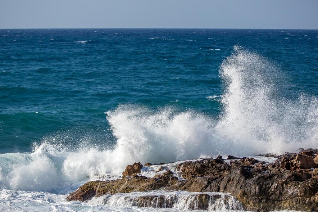 周辺観光スポット