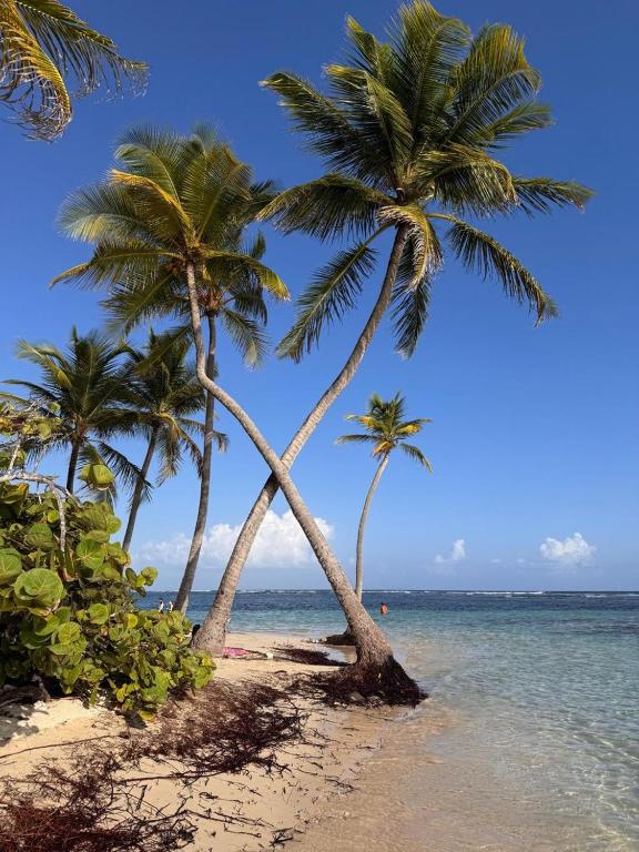 Appartement Soleil, Sainte-Anne, Sainte-Anne