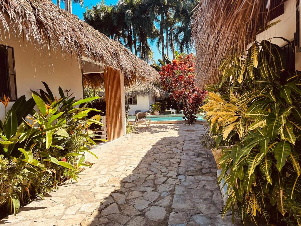 Cabarete Breeze, Cabarete