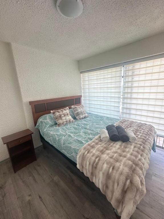 Departamento en concon - 4