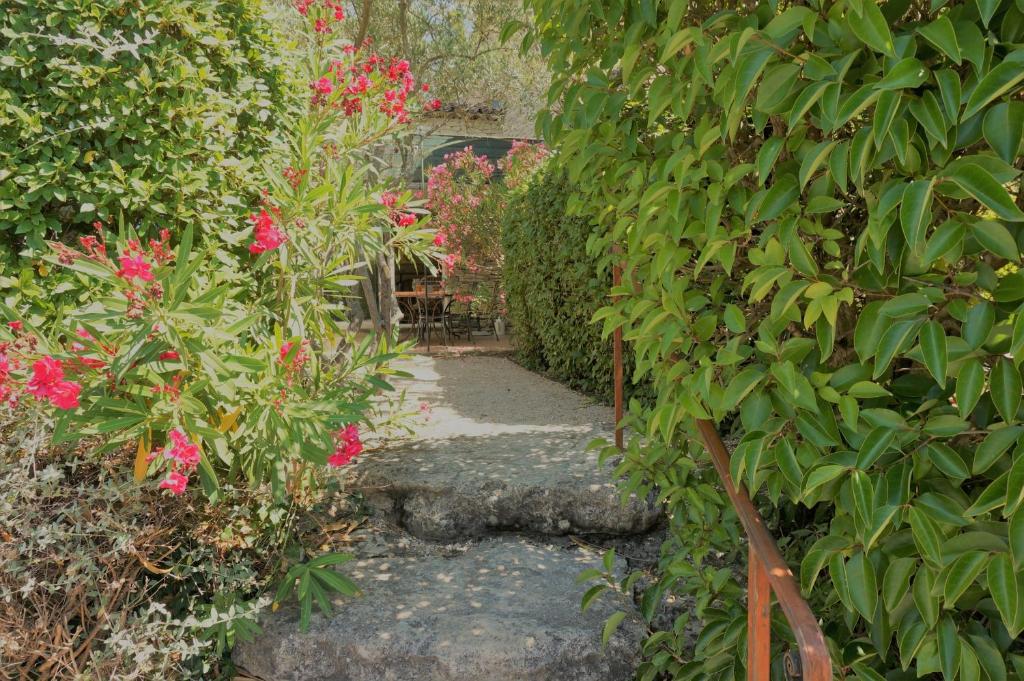 Bastidon de Gordes - 4