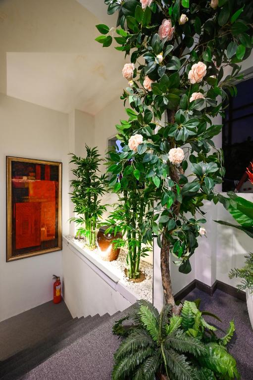 Attrezzature e servizi