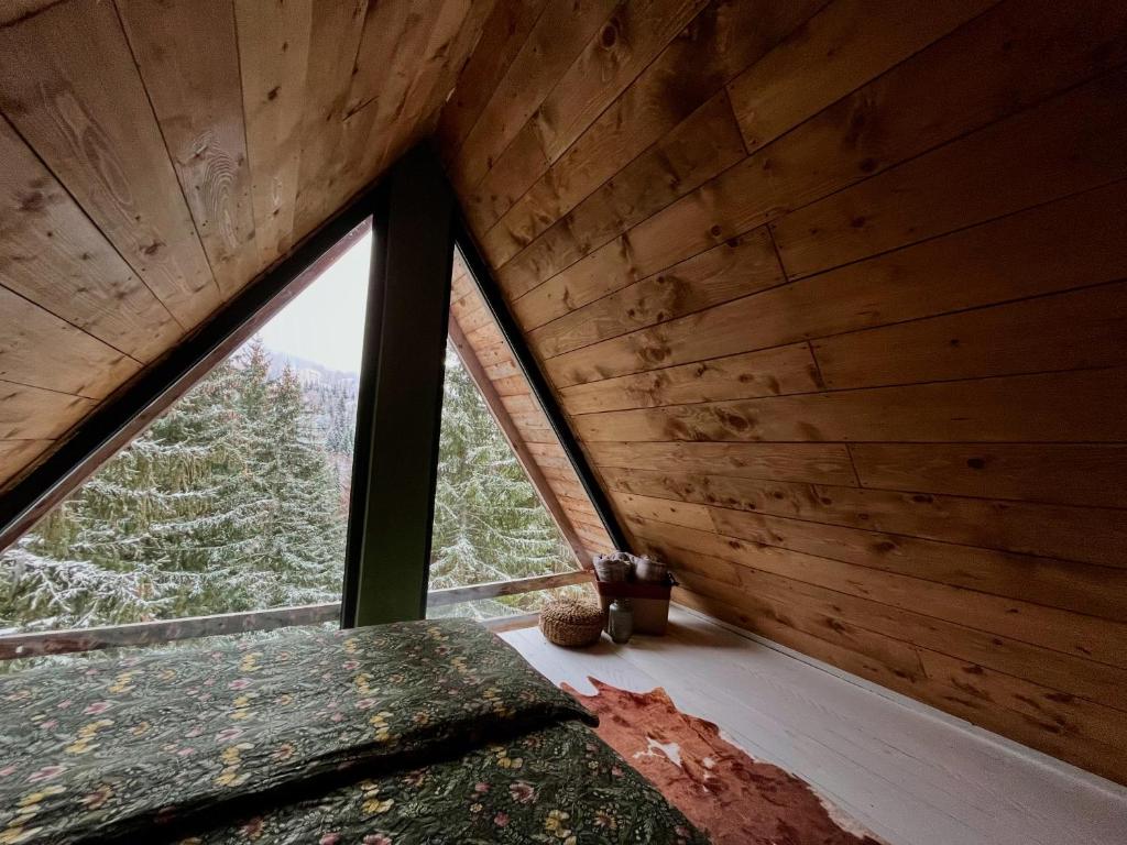 Cabin Apartman, Kopaonik - 1