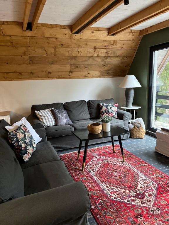Cabin Apartman, Kopaonik - 2