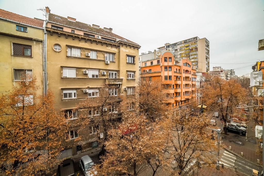 Panorama Central - Dorcol Apartment - 5