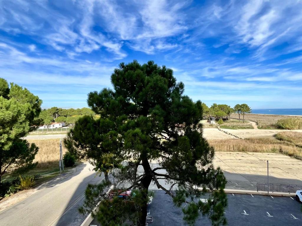 Appartement 2 pièces 4 couchages ARGELES SUR MER AR600-033 - 3