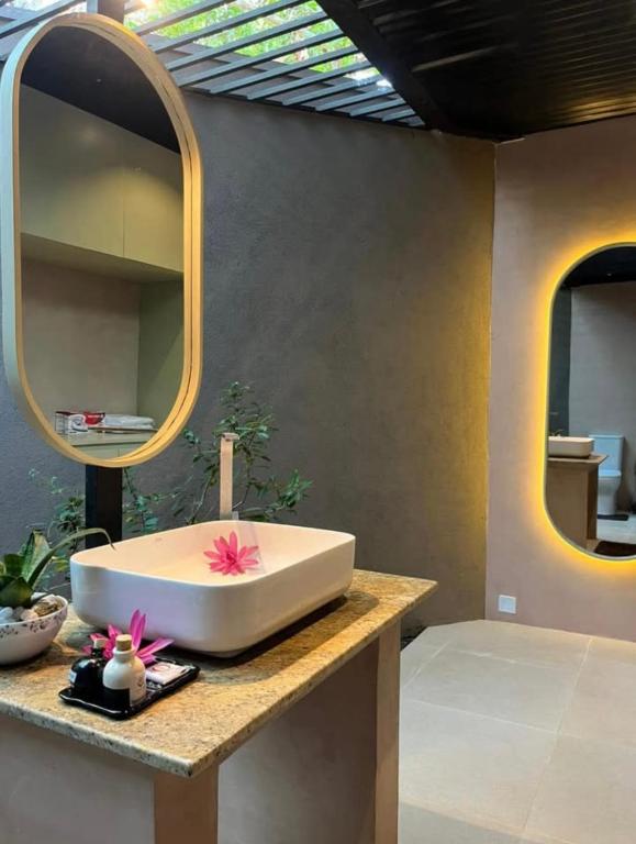 Ceylan trees, Kataragama