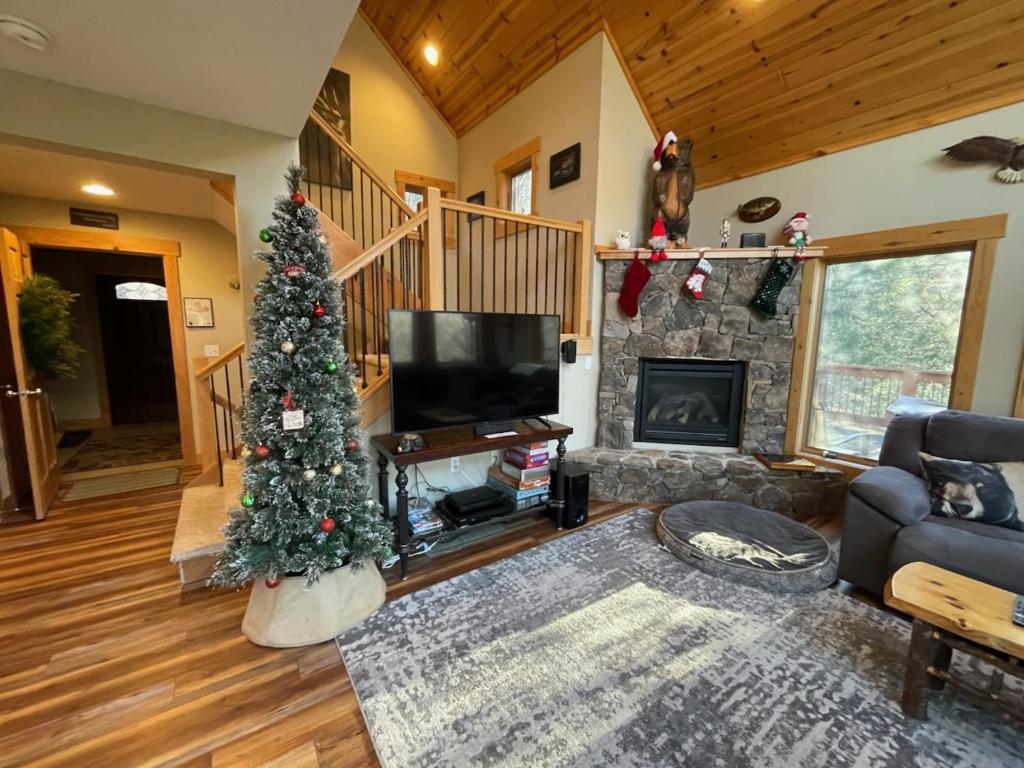 Canopy Escape, McHenry