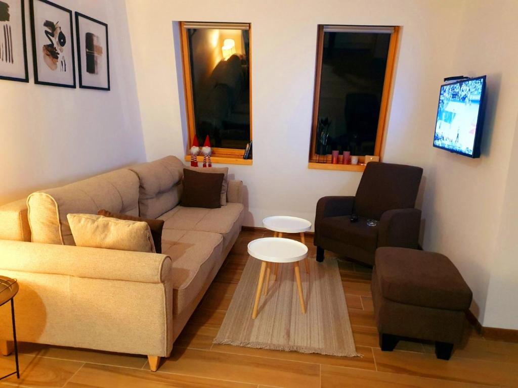 Apartment Holiday Ravna Planina - 3