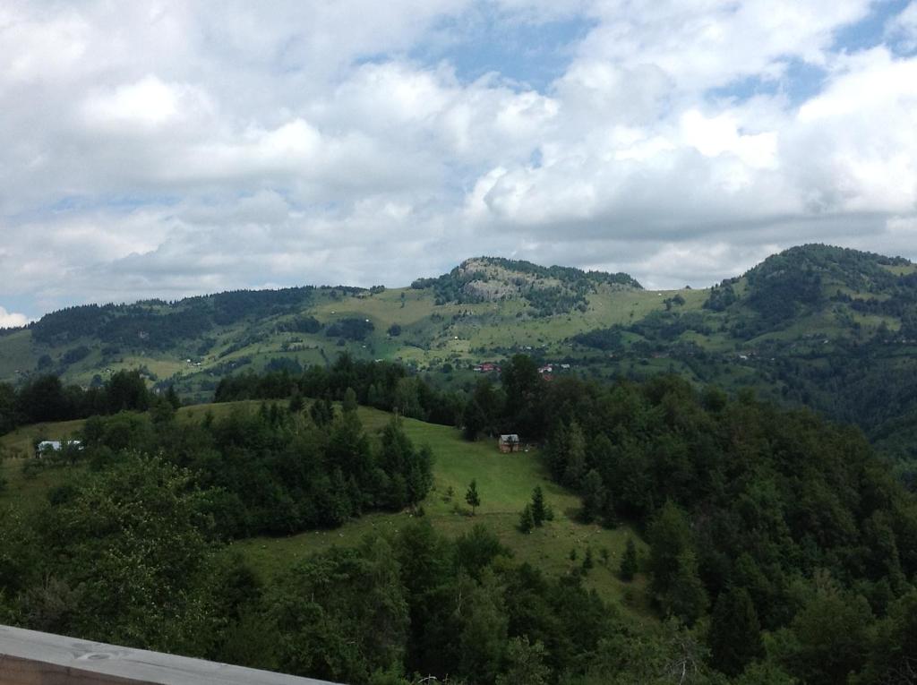 Pensiunea Tabacaru photo