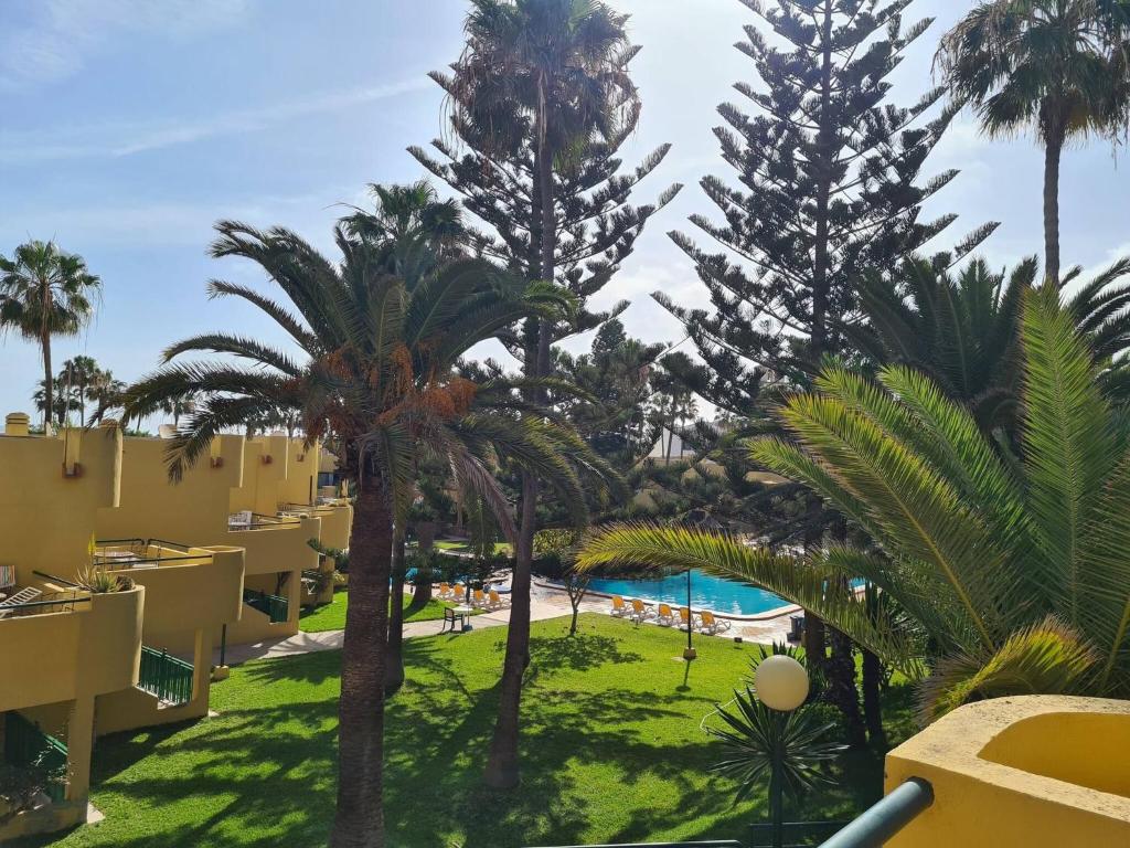 Beach Apt With Fast Wifi - 2