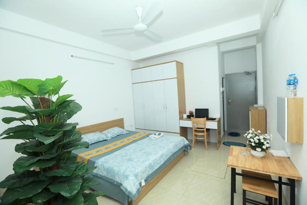 Hoa Da Yen Thao 202TM3