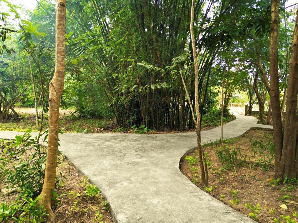 Surrounding environment