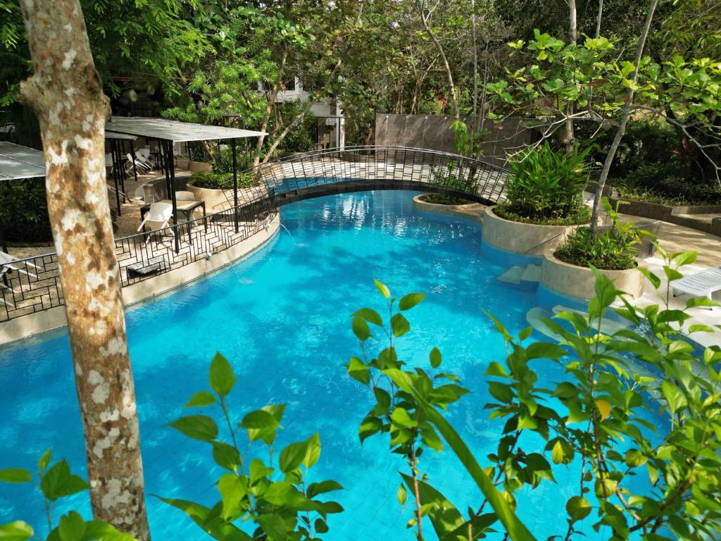 Swimming pool