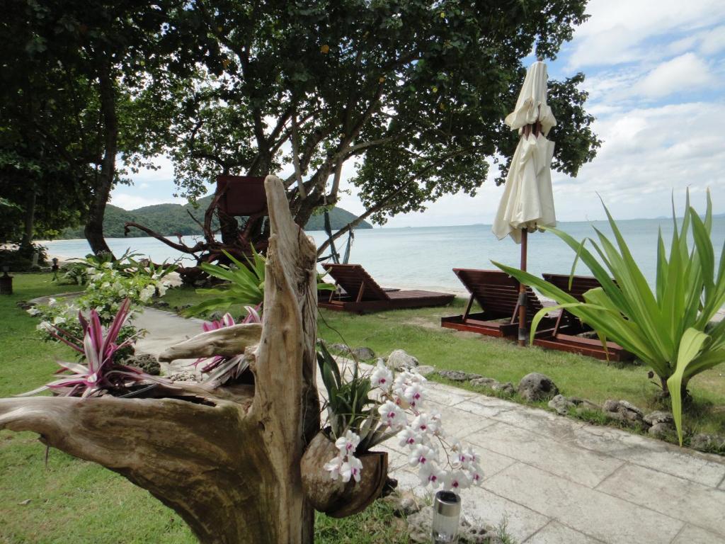 Jardí