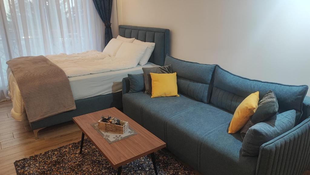 Apartment 12 Kopaonik - 4