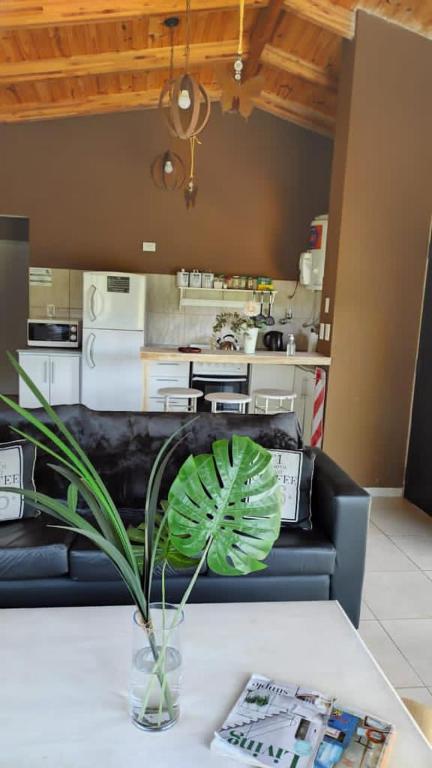 LunaNegra Casas de descanso - 5