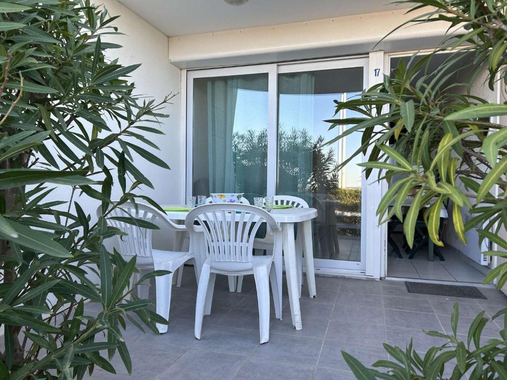 Port Camargue, T2 climatisé, terrasse, parking, animaux admis - FR-1-250-219 - 2