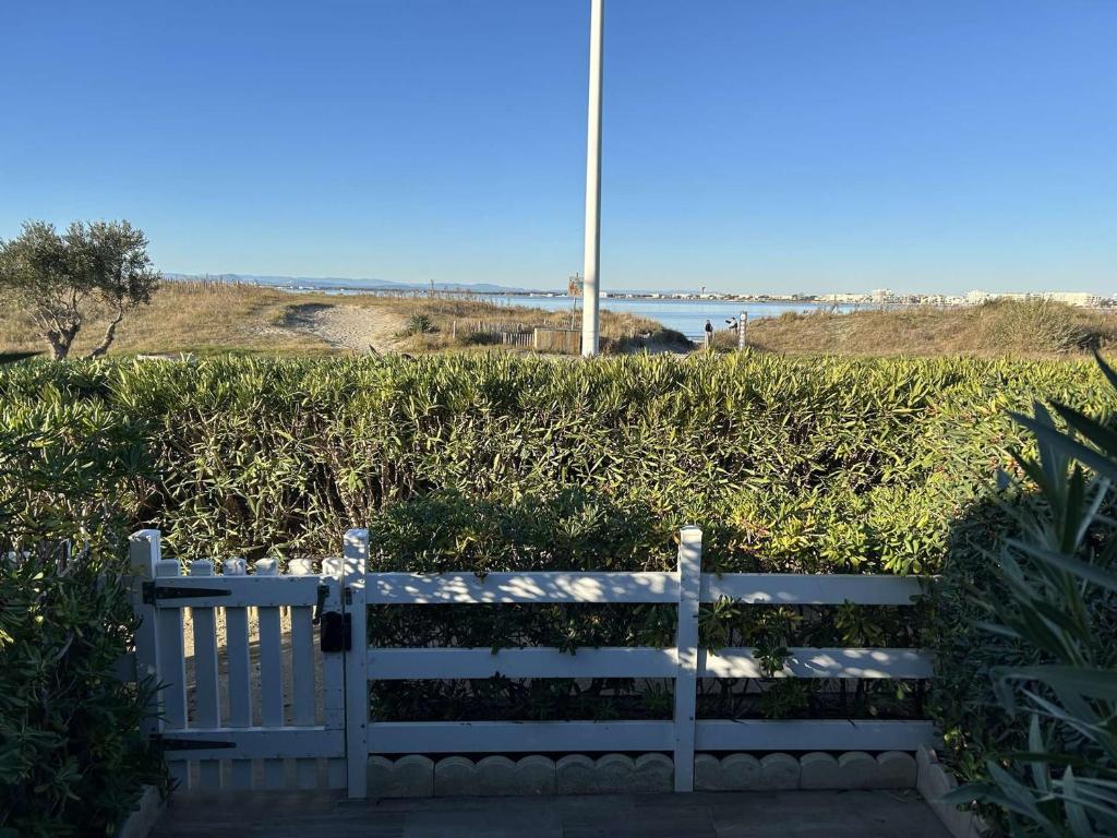 Port Camargue, T2 climatisé, terrasse, parking, animaux admis - FR-1-250-219 - 3