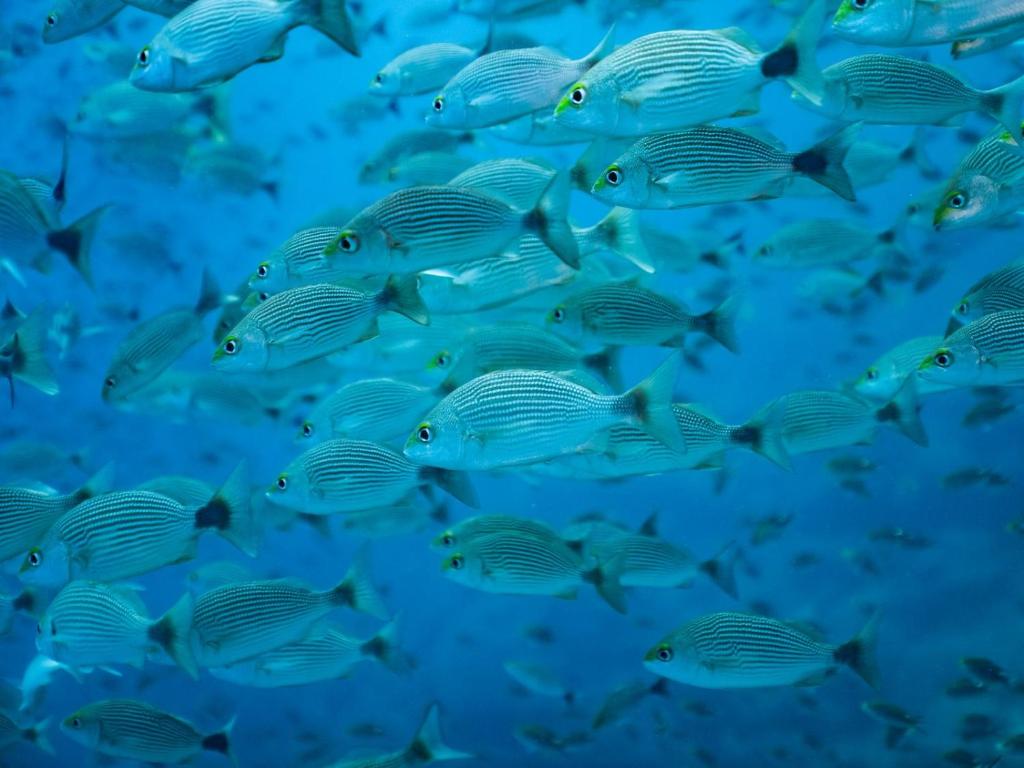 Sports and activities