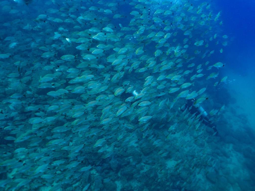 Sports and activities